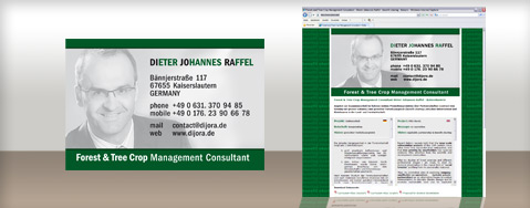 google optimierung werbeagentur webdesign kaiserslautern